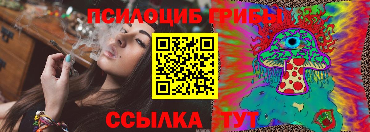 Галлюциногенные грибы Psilocybine cubensis  Вход с VPN  Псилоцибиновые грибы ЛСД  Старая Купавна 