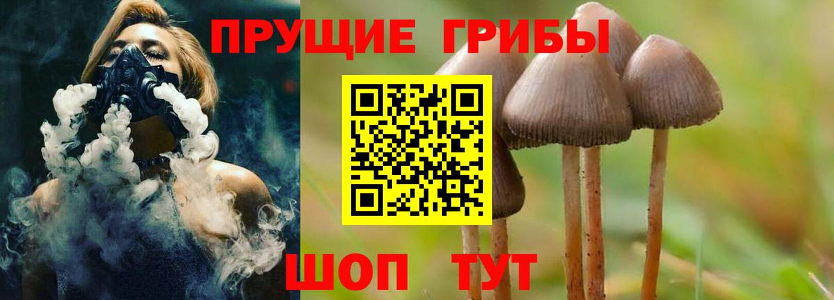 Галлюциногенные грибы GOLDEN TEACHER Старая Купавна